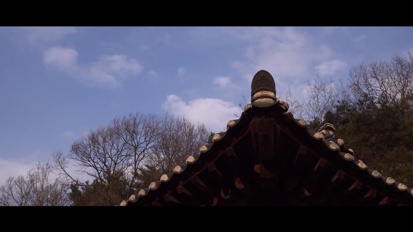6.예천박물관의 별 헤는 밤
